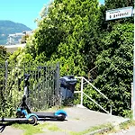Garden & View