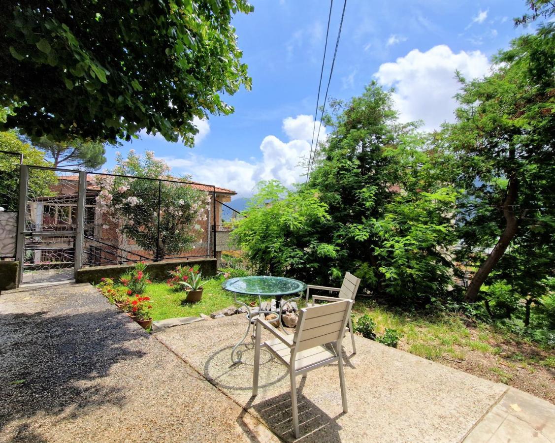 Apartment Garden & View