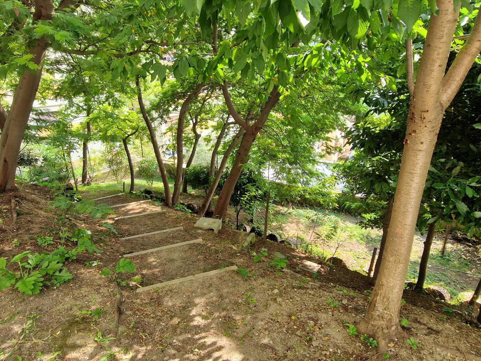 Appartamento Garden & View