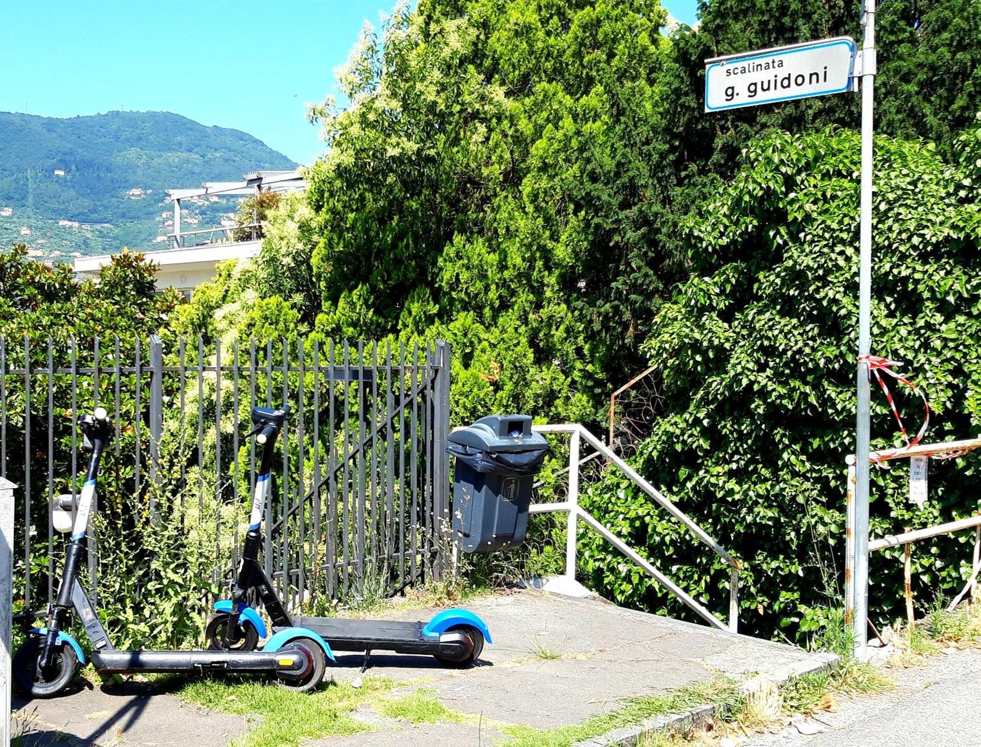 Garden & View *